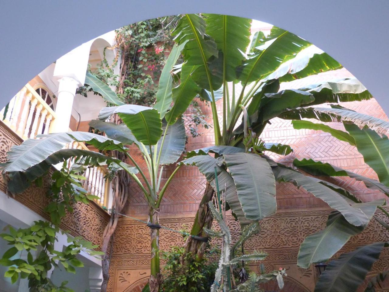 Riad Habib マラケシュ エクステリア 写真